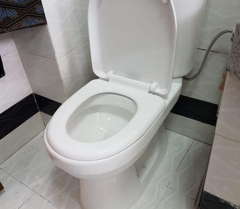 Toilet Bowl Repair